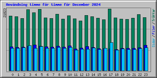 Anvndning timme fr timme fr December 2024