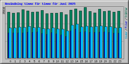Anv�ndning timme f�r timme f�r Juni 2025